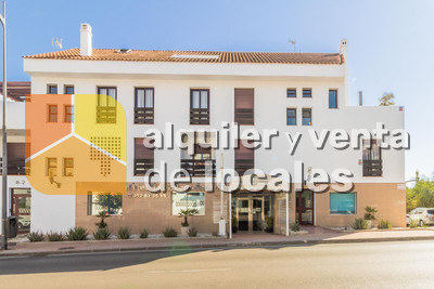 Business Premises for Sale in Nueva Andalucía